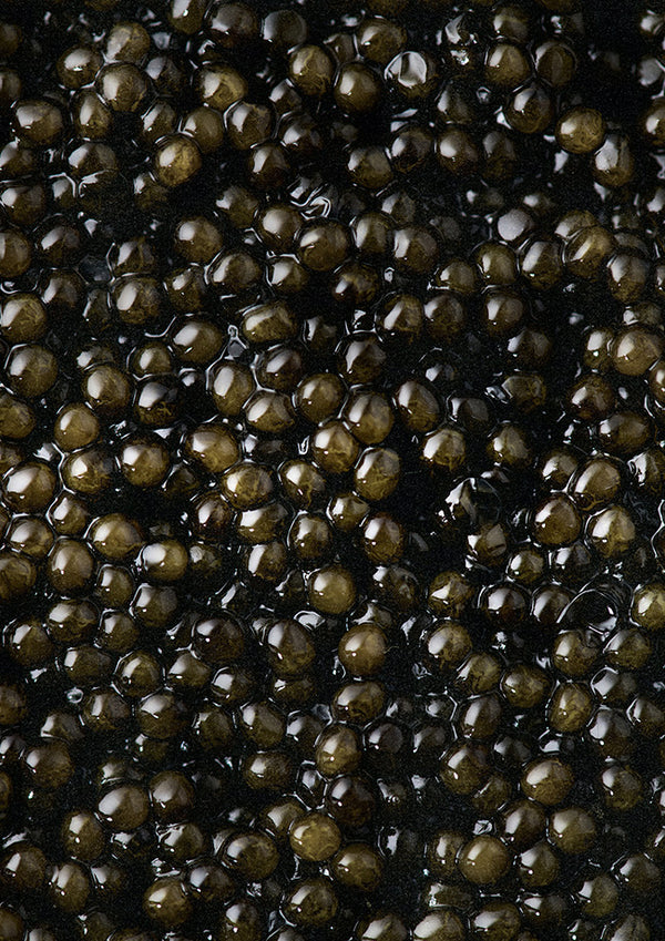 CAVIAR